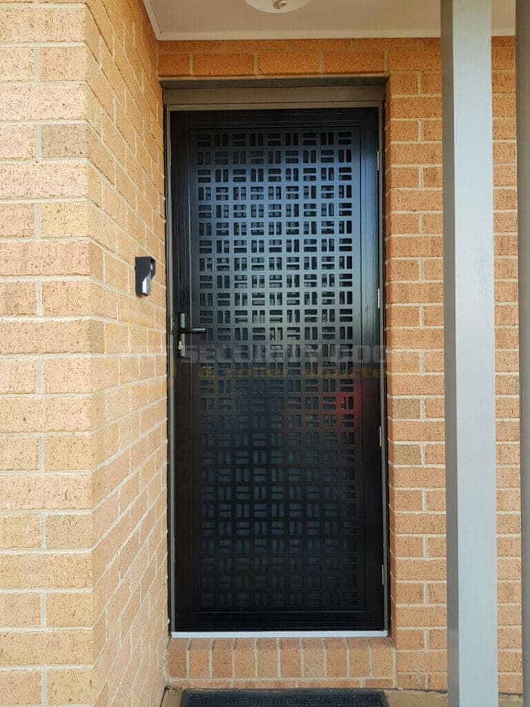 Stainless steel security door